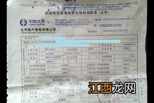 交强险电子保单可以不贴标志吗？