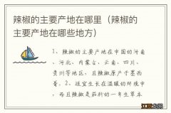 辣椒的主要产地在哪些地方 辣椒的主要产地在哪里