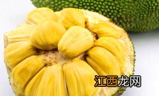 菠萝蜜豆煮多久