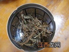 怎么做鱼腥草茶