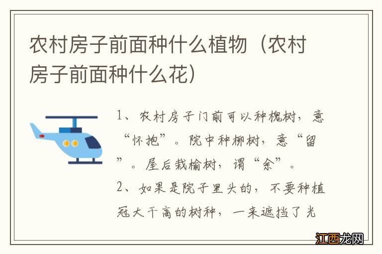 农村房子前面种什么花 农村房子前面种什么植物