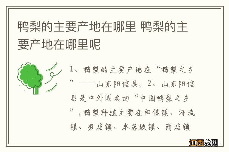 鸭梨的主要产地在哪里 鸭梨的主要产地在哪里呢