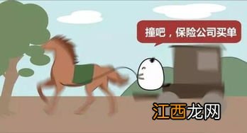 车险买了能马上上路吗？