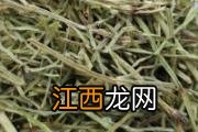 铁皮石斛花的功效与作用