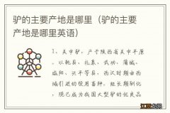 驴的主要产地是哪里英语 驴的主要产地是哪里