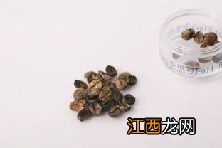 怎么辨别苦荞米好坏