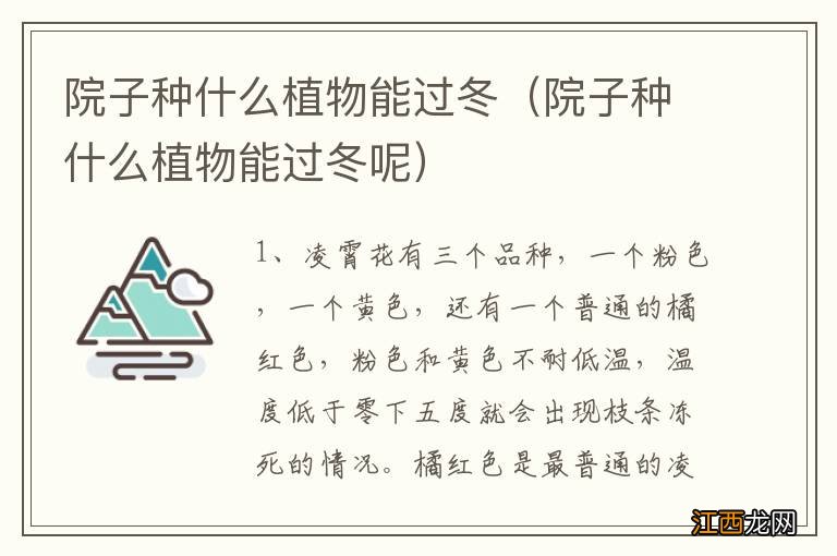 院子种什么植物能过冬呢 院子种什么植物能过冬