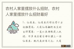 农村人家里摆放什么招财，农村人家里摆放什么招财最好