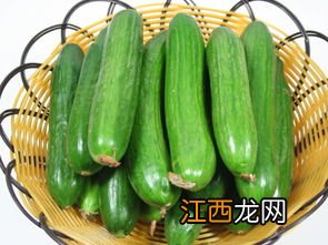 青瓜需要煮多久