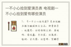 一不小心捡到爱演员表 电视剧一不小心捡到爱有哪些演员