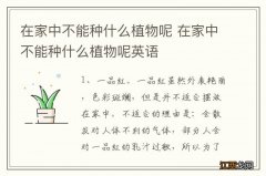 在家中不能种什么植物呢 在家中不能种什么植物呢英语