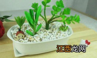 椭圆花盆能种什么植物 椭圆形花盆种什么花好看