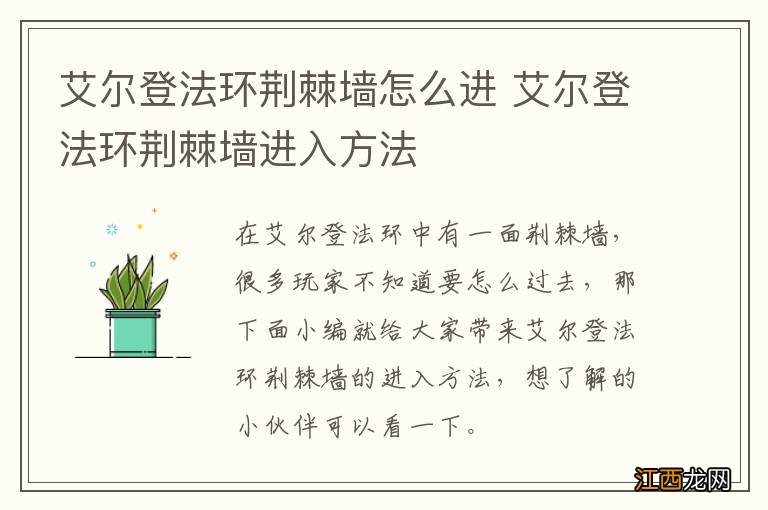艾尔登法环荆棘墙怎么进 艾尔登法环荆棘墙进入方法