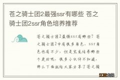 苍之骑士团2最强ssr有哪些 苍之骑士团2ssr角色培养推荐