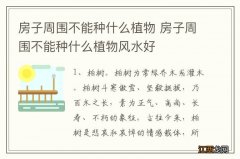 房子周围不能种什么植物 房子周围不能种什么植物风水好