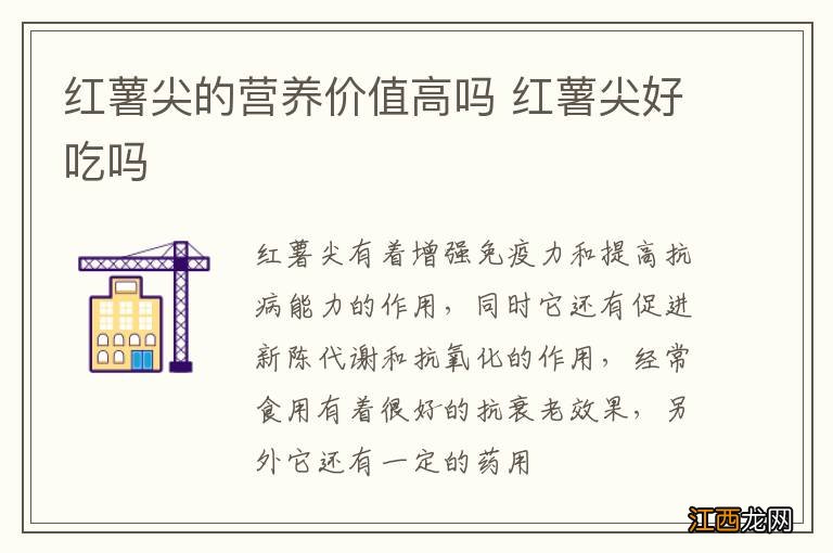 红薯尖的营养价值高吗 红薯尖好吃吗