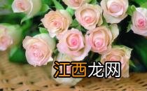 夜间如何美白?夜间美白效果更好!