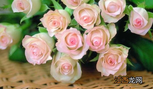 夜间如何美白?夜间美白效果更好!