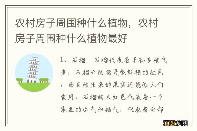 农村房子周围种什么植物，农村房子周围种什么植物最好