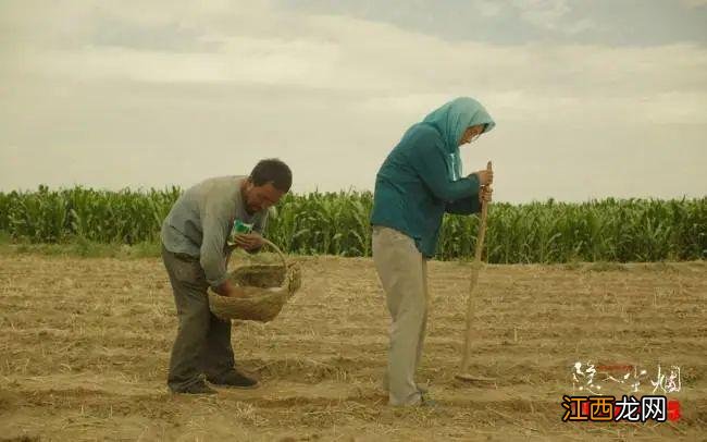 《隐入尘烟》成黑马,“拾穗者”的苦难与浪漫打动人心!