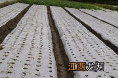 大蒜地可以重复种几年，大蒜地膜怎么覆盖