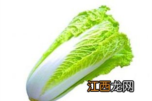 大白菜病害图片与用药