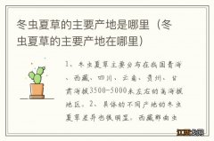 冬虫夏草的主要产地在哪里 冬虫夏草的主要产地是哪里