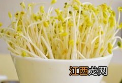 怎么自己做豆芽菜