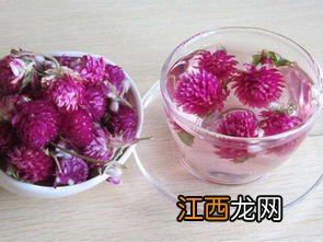 千日红花茶怎么做