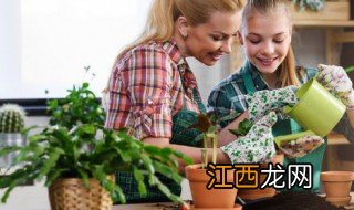 家中种什么植物好护理皮肤病 家中种什么植物好护理皮肤