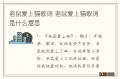 老鼠爱上猫歌词 老鼠爱上猫歌词是什么意思