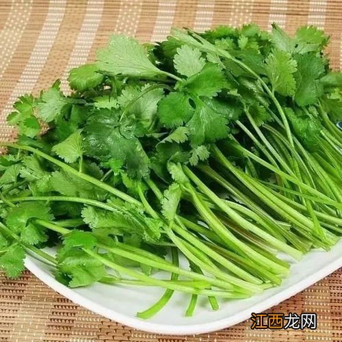 怎么用香菜炒菜