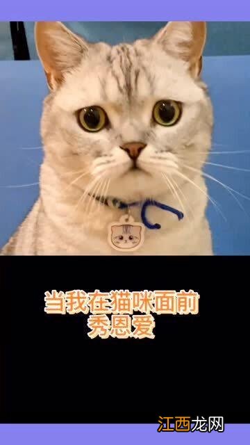 怎么用面做小猫咪的头