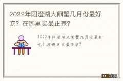 2022年阳澄湖大闸蟹几月份最好吃？在哪里买最正宗？