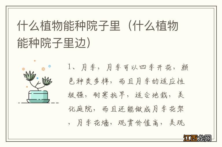 什么植物能种院子里边 什么植物能种院子里