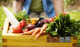 南方几月开始种植白菜萝卜,北方几月份种萝卜白菜