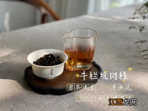 怎么辨别牛栏坑肉桂