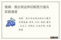 俄媒：俄白将这样切断西方援乌武器通道