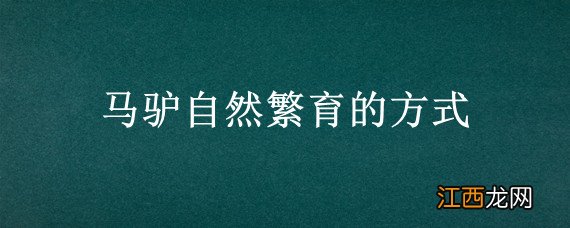 马驴自然繁育的方式 马驴自然繁育的方式是什么