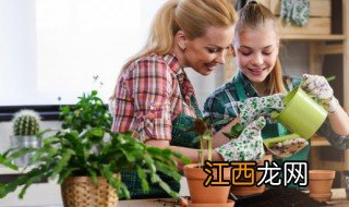 院子种什么植物能驱赶蜈蚣，院子种什么植物能驱赶蜈蚣虫