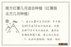 红薯苗北方几月种植 南方红薯几月适合种植