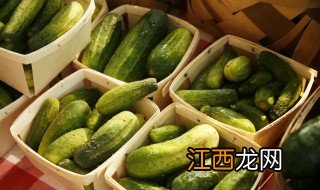 南方水果黄瓜种植时间 南方几月可以种植黄瓜