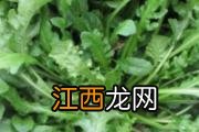 蕨菜粉煮多长时间 蕨菜粉用温水泡还是凉水泡