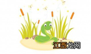 院子里种什么植物能防蛇，院子里种什么植物能防蛇叮咬