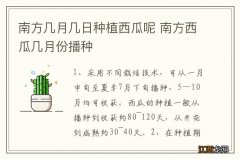 南方几月几日种植西瓜呢 南方西瓜几月份播种