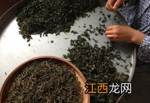 魔根茶怎么样