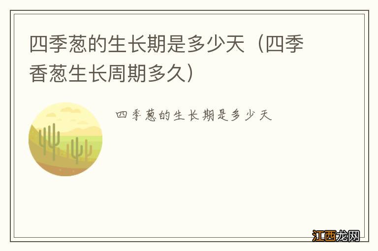 四季香葱生长周期多久 四季葱的生长期是多少天