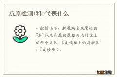 抗原检测t和c代表什么