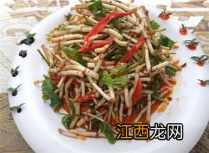 怎么样炒鱼腥草好吃吗