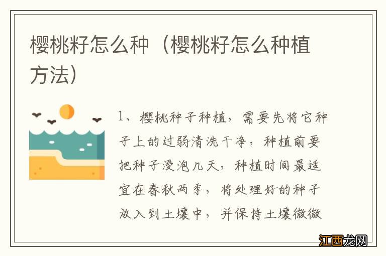 樱桃籽怎么种植方法 樱桃籽怎么种